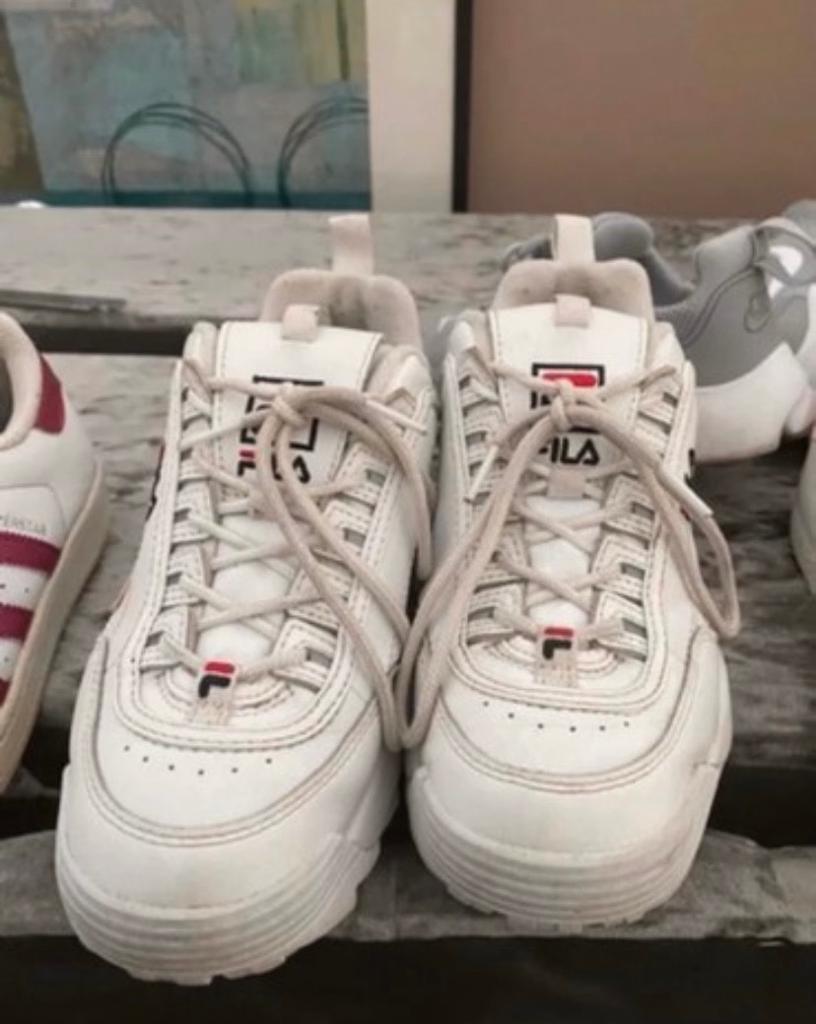 fila trainers size 13